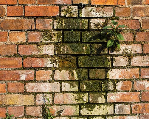 Brick Cleaning